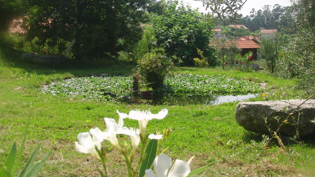 Alojamento de Turismo Rural Quinta Do Riacho *